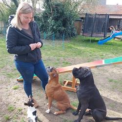 Hondenschool Roxy, Stein openingstijden