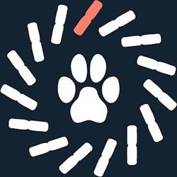 Domino Dog Training, Zoetermeer openingstijden