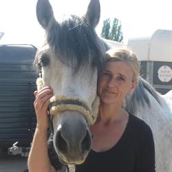 Coachingmetpaardenkracht, Gulpen openingstijden