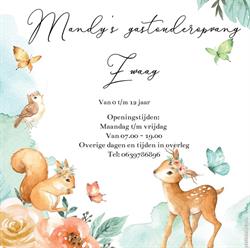 Mandy's gastouderopvang zwaag, Zwaag openingstijden