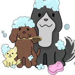 Dogwash Rotterdam, openingstijden