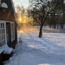 Honeshoeve, Winterswijk openingstijden