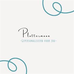Plottermoon, Ter Aar openingstijden