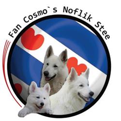 Zwitserse witte herders Fan Cosmo’s Noflik Stee, Terherne openingstijden