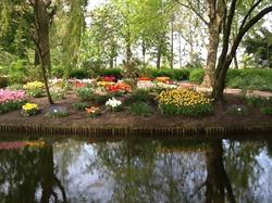 Poldertuin, Anna Paulowna openingstijden