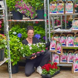 Aadjes Passie, Lisse openingstijden