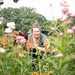 de Plantaardige Verleiding, Ambt Delden openingstijden