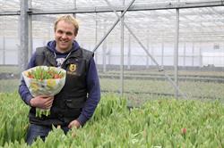 greattulips, Venhuizen openingstijden