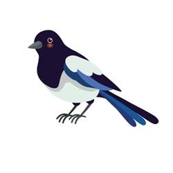 V.O.F. De Blije Ekster, Milsbeek openingstijden