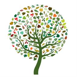 Thrivability holistische lichaamsgerichte coaching, Culemborg openingstijden