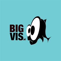 BigVis, Amersfoort openingstijden
