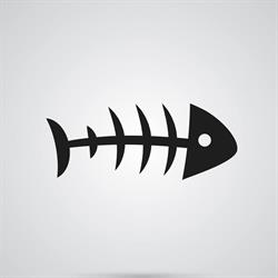 Funky Fishbone Media, Stiens openingstijden