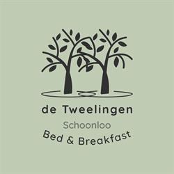 De Tweelingen, Schoonloo openingstijden