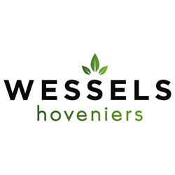 Wessels Hoveniers, Albergen openingstijden