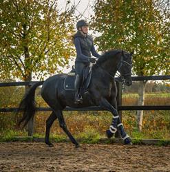 Grenslandstal Kieftenburg Horses, Zwartemeer openingstijden