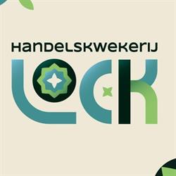 Handelskwekerij Lock, Honselersdijk openingstijden