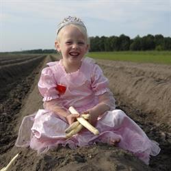 Musters asperges, Elshout openingstijden