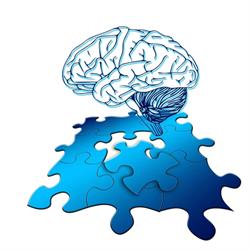 Artificial Mind Solutions, Amsterdam openingstijden