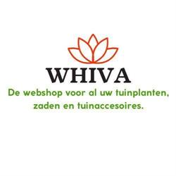 Plantenkraam Zuidwending, Veendam openingstijden