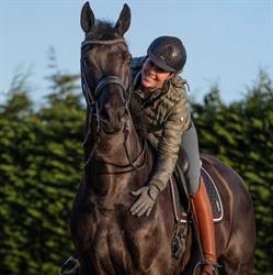 Filion Dressage Horses, Stad aan 't Haringvliet openingstijden