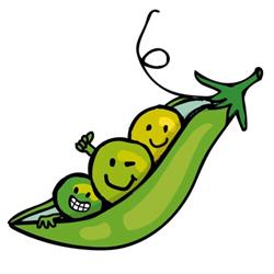 Moestuinkids, Arnhem openingstijden