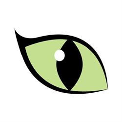 Cateye Design, Hillegom openingstijden