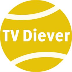 TV Diever, openingstijden