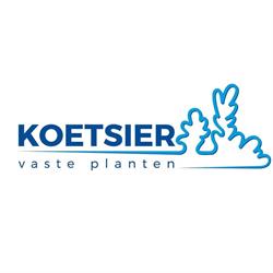 Koetsier Vaste Planten B.V., Hazerswoude-Dorp openingstijden