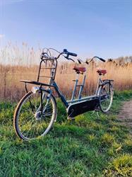 Tandemverhuur Ammekaar, Hoogerheide openingstijden