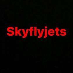 Skyflyjets, Nieuwegein openingstijden