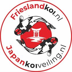 Japankoiveiling.nl, Fochteloo openingstijden
