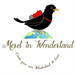 Merel in Wonderland Zwaanshoek, openingstijden