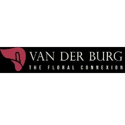 Van der Burg Fleurs et Plantes B.V., Rijnsburg openingstijden