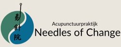 Acupunctuur praktijk Needles of Change, Leiden openingstijden
