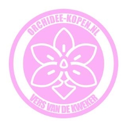 Orchidee kopen | Orchidee-kopen.nl, Oosterhout openingstijden