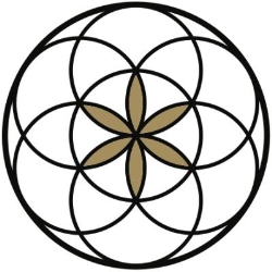 Equilibrium Massage Therapy, Amsterdam openingstijden