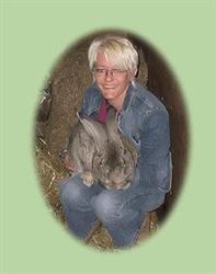 Bunny´s Holiday, Warfhuizen openingstijden