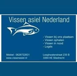 Vissenasiel Nederland, Sliedrecht openingstijden