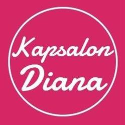Kapsalon Diana van Aalst, Den Helder openingstijden