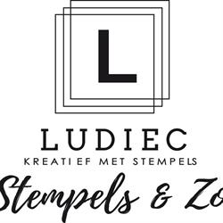 Ludiec, Dirkshorn openingstijden