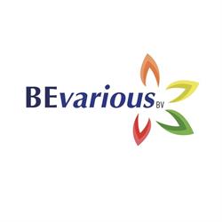 BE-various B.V., Gelselaar openingstijden