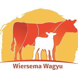 Wiersema Wagyu, Olst openingstijden