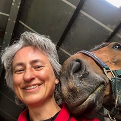 Very Important Horse, Son en Breugel openingstijden