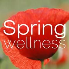 Spring wellness, Voorschoten openingstijden