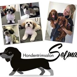Hondentrimsalon Selma, Elshout openingstijden