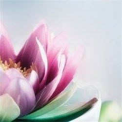 Massagesalon Taking Care, Dordrecht openingstijden