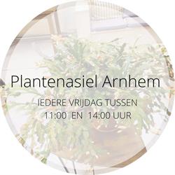 Plantenasiel Arnhem, openingstijden
