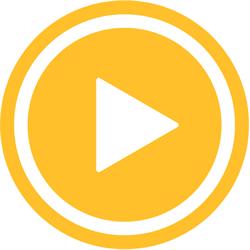 Online Video Producties, Schiedam openingstijden