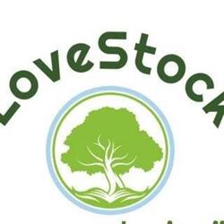 LoveStock, Aarle-Rixtel openingstijden