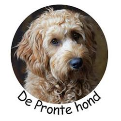 Trimsalon De Pronte hond, Heerenveen openingstijden
